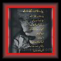 Payar Reshti 01 * 22.03.2008 * 479 x 691 * (49KB)